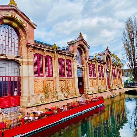 Appartement Spacieux A Colmar Avec Terrasse, Garage Privatif, Proche Centre Et Gare - Fr-1-722-2 المظهر الخارجي الصورة